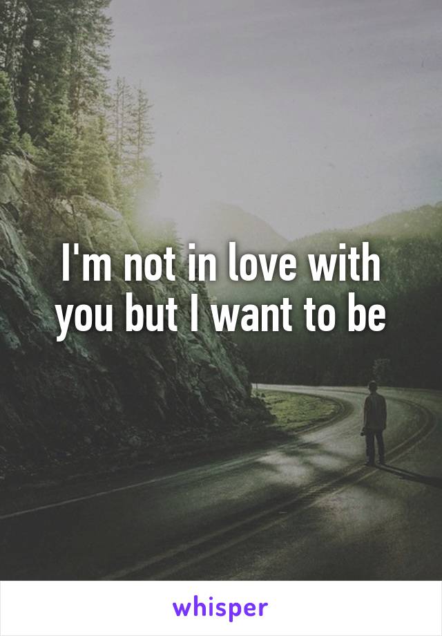 I'm not in love with you but I want to be
