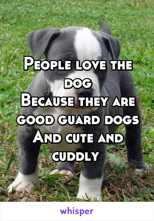 People love the dog
Because they are good guard dogs
And cute and cuddly 