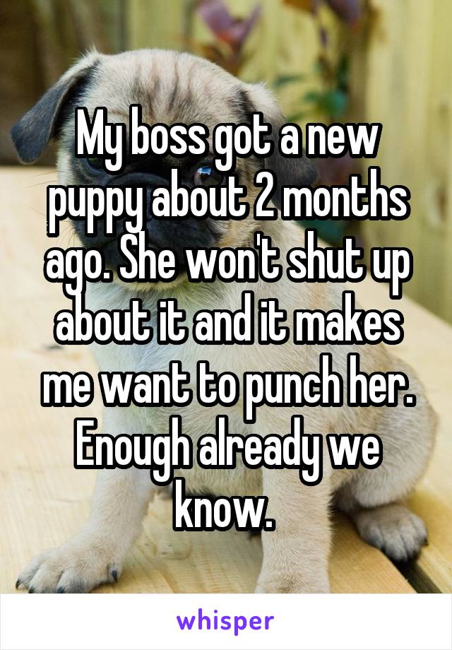 My boss got a new puppy about 2 months ago. She won't shut up about it and it makes me want to punch her. Enough already we know. 