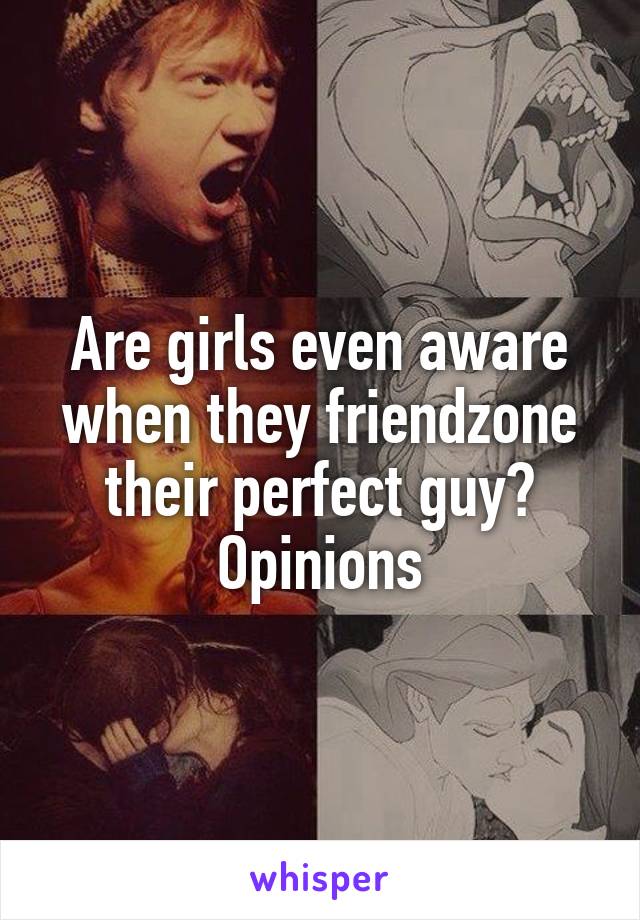 Are girls even aware when they friendzone their perfect guy? Opinions