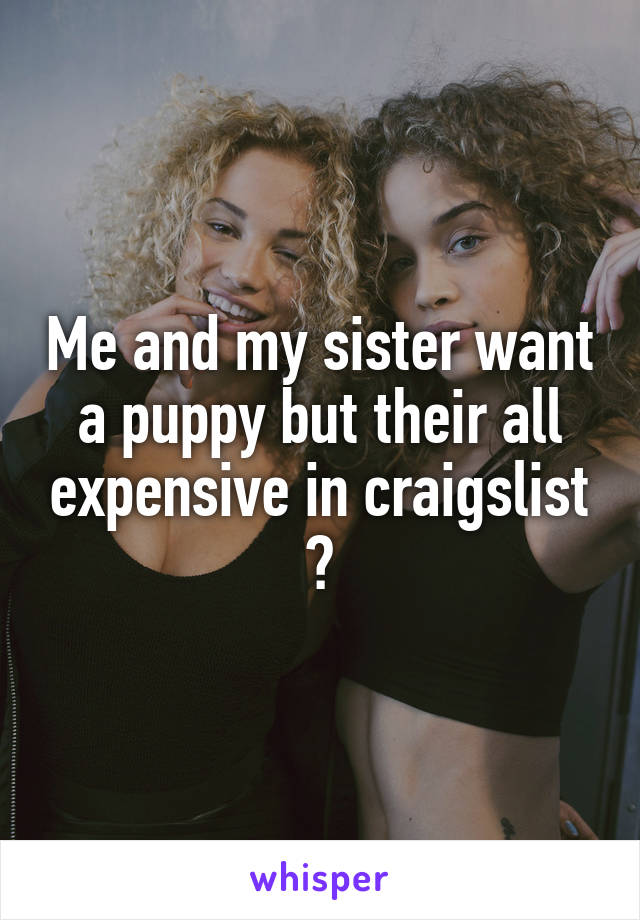 Me and my sister want a puppy but their all expensive in craigslist 😞