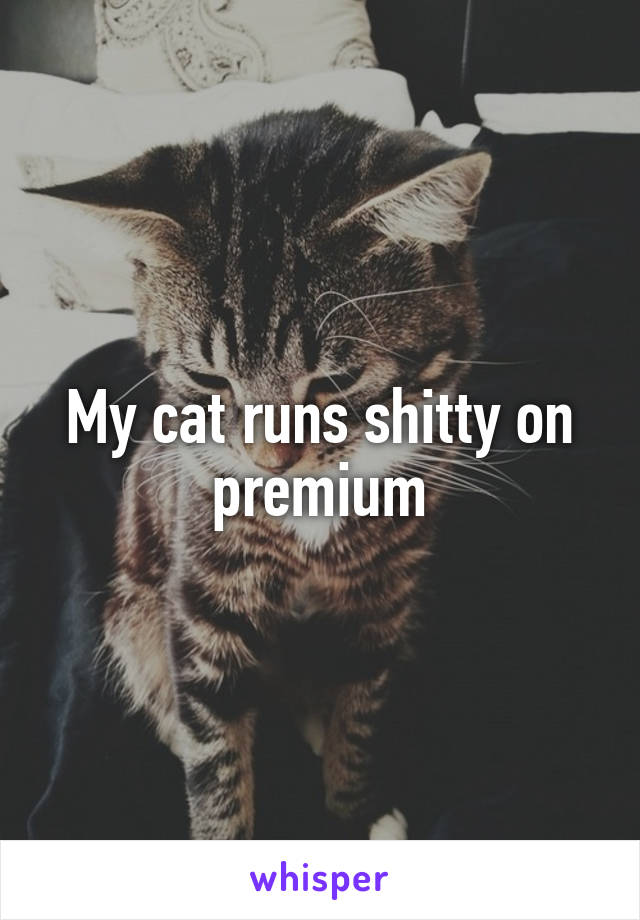 My cat runs shitty on premium