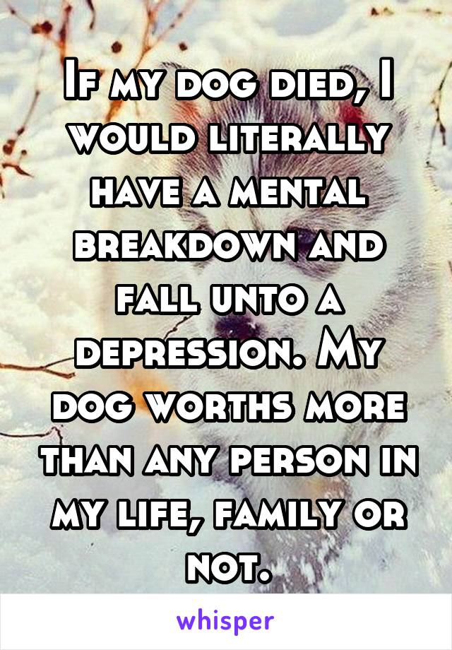 If my dog died, I would literally have a mental breakdown and fall unto a depression. My dog worths more than any person in my life, family or not.