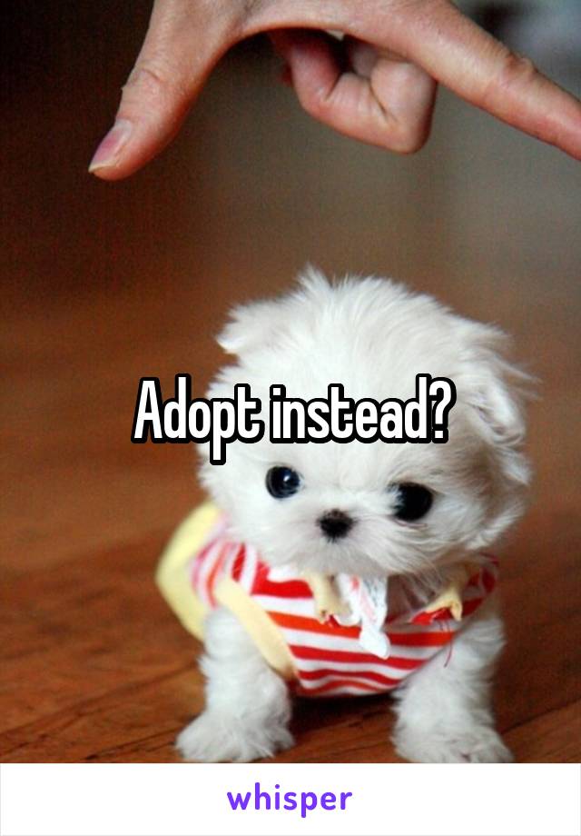 Adopt instead?