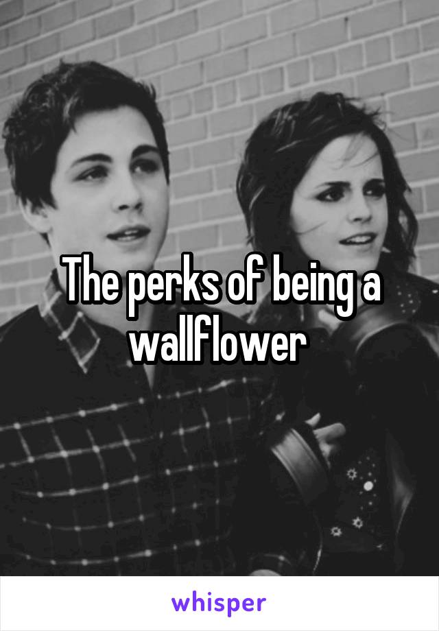 The perks of being a wallflower 