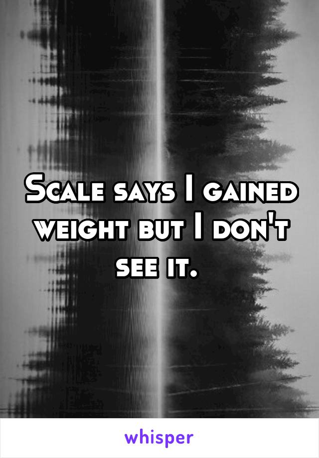 Scale says I gained weight but I don't see it. 