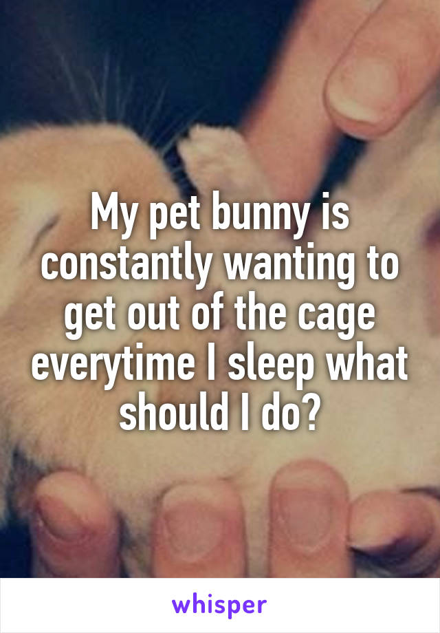 My pet bunny is constantly wanting to get out of the cage everytime I sleep what should I do?