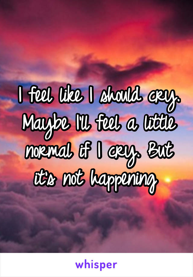 I feel like I should cry. Maybe I'll feel a little normal if I cry. But it's not happening 