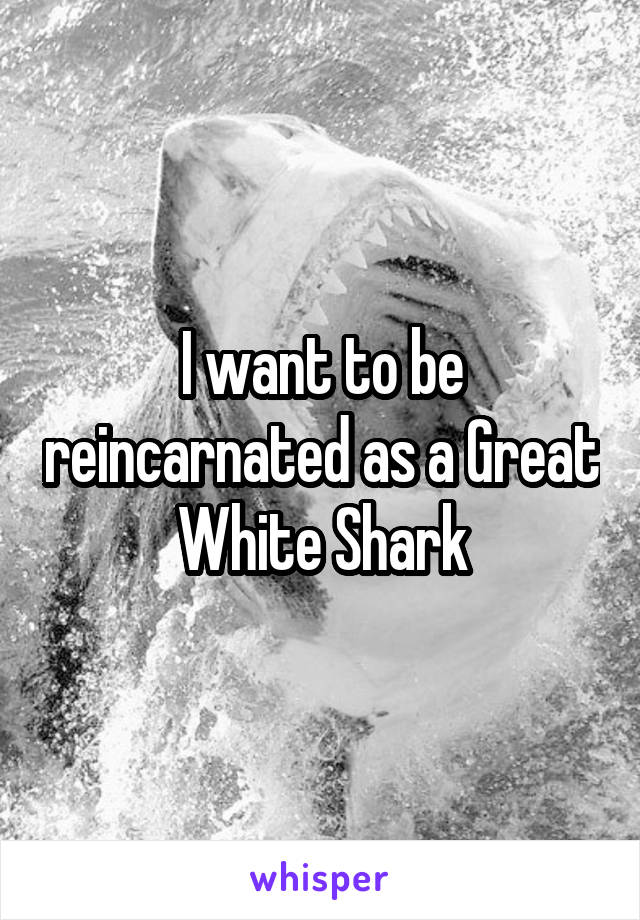 I want to be reincarnated as a Great White Shark