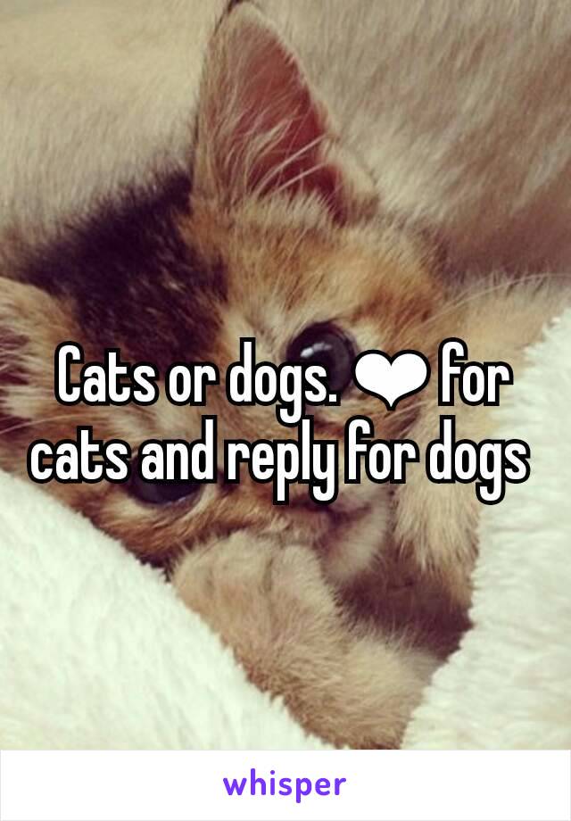 Cats or dogs. ❤ for cats and reply for dogs 