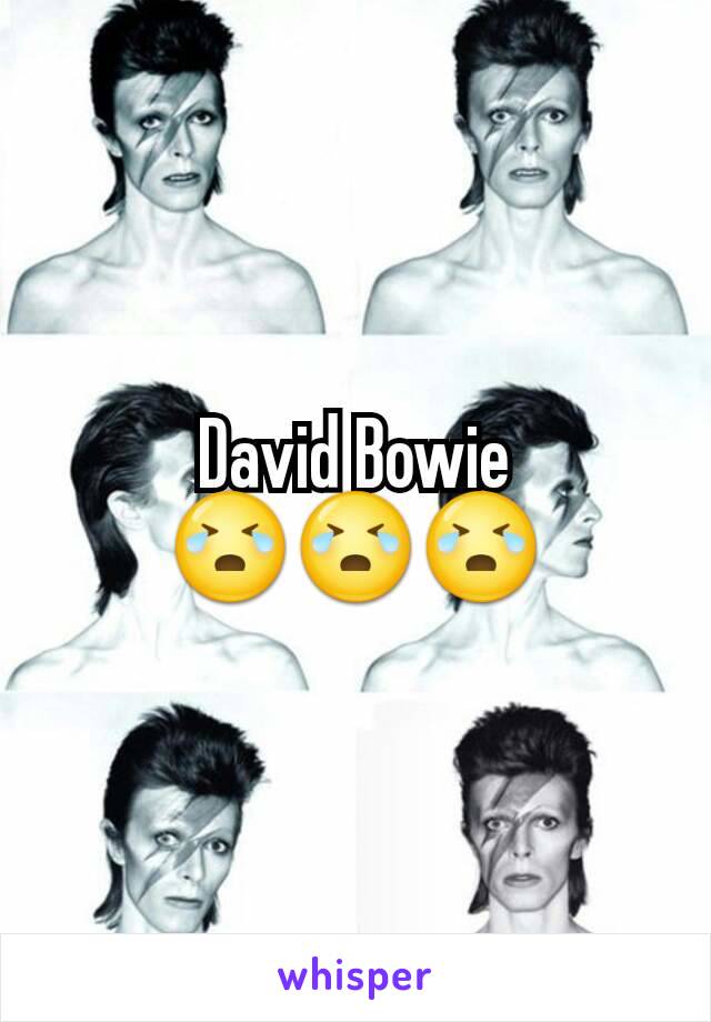 David Bowie
😭😭😭