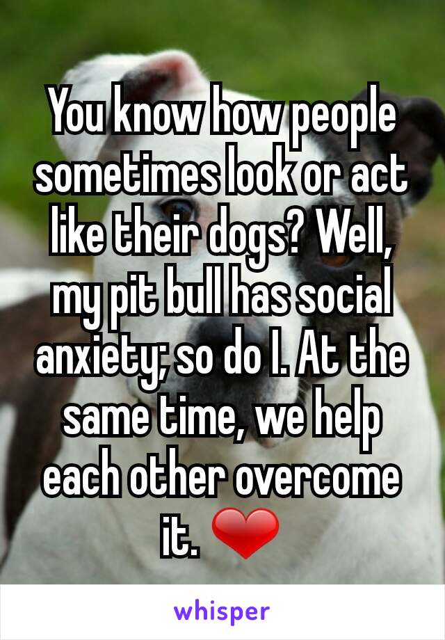 You know how people sometimes look or act like their dogs? Well, my pit bull has social anxiety; so do I. At the same time, we help each other overcome it. ❤