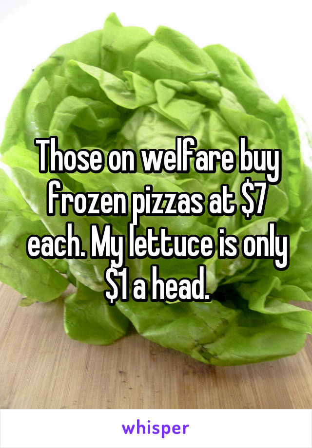 Those on welfare buy frozen pizzas at $7 each. My lettuce is only $1 a head.