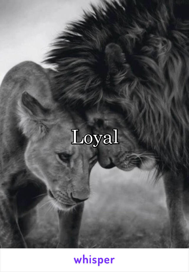 Loyal