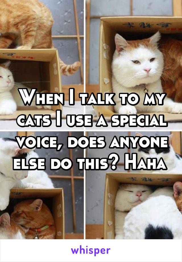 When I talk to my cats I use a special voice, does anyone else do this? Haha 