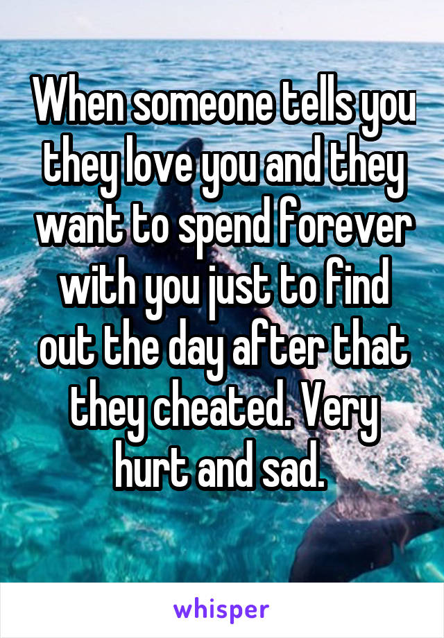 When someone tells you they love you and they want to spend forever with you just to find out the day after that they cheated. Very hurt and sad. 
