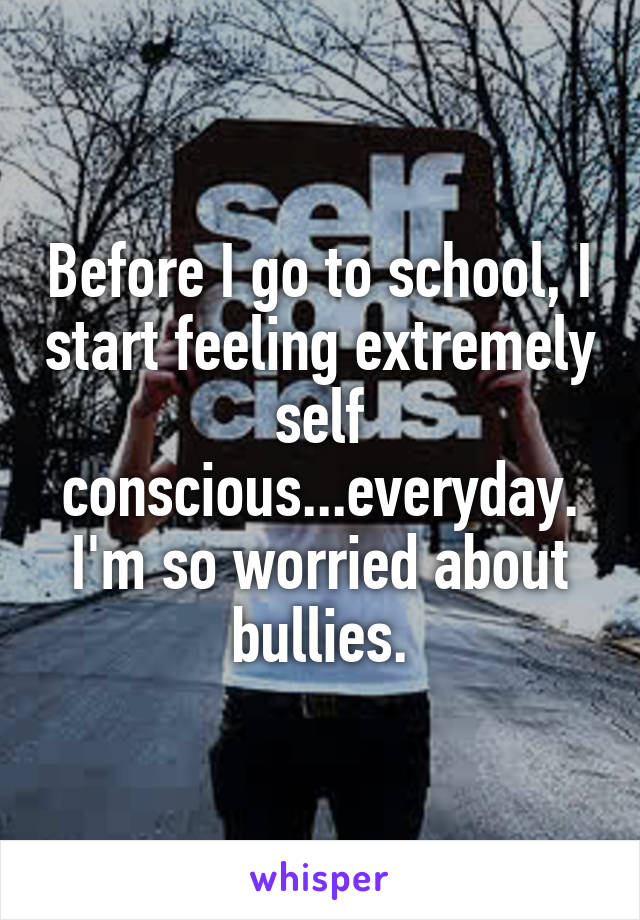 Before I go to school, I start feeling extremely self conscious...everyday. I'm so worried about bullies.