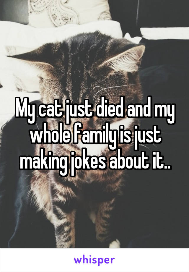 My cat just died and my whole family is just making jokes about it..