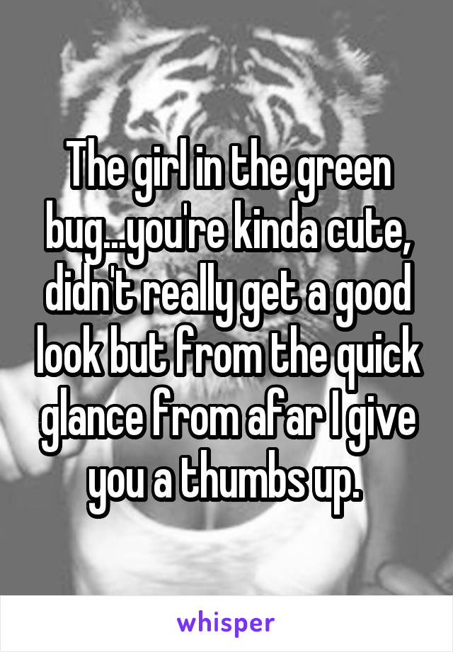 The girl in the green bug...you're kinda cute, didn't really get a good look but from the quick glance from afar I give you a thumbs up. 