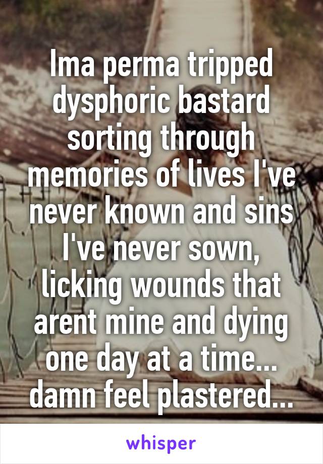 Ima perma tripped dysphoric bastard sorting through memories of lives I've never known and sins I've never sown, licking wounds that arent mine and dying one day at a time... damn feel plastered...