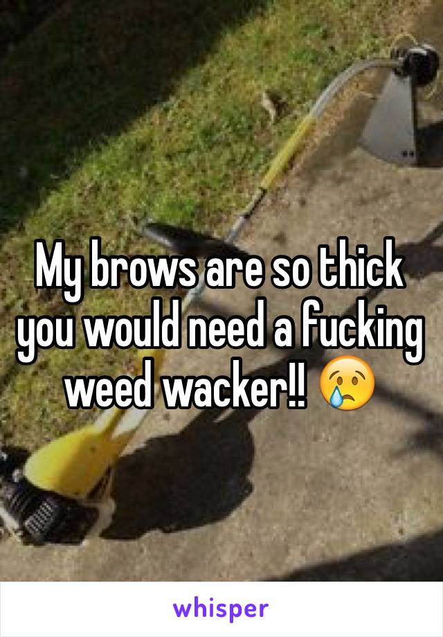 My brows are so thick you would need a fucking weed wacker!! 😢