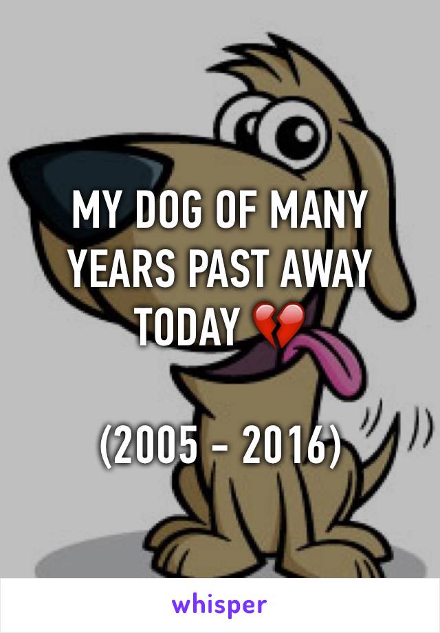 MY DOG OF MANY YEARS PAST AWAY TODAY 💔

(2005 - 2016)