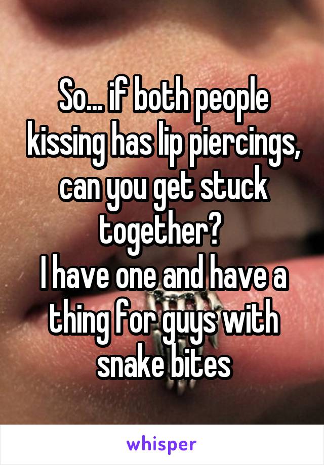 So... if both people kissing has lip piercings, can you get stuck together? 
I have one and have a thing for guys with snake bites