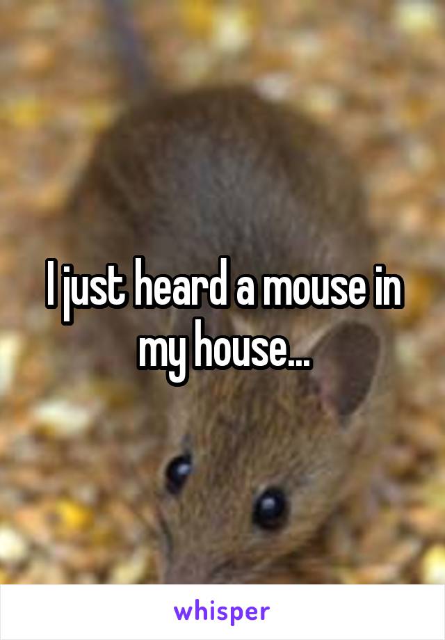 I just heard a mouse in my house...