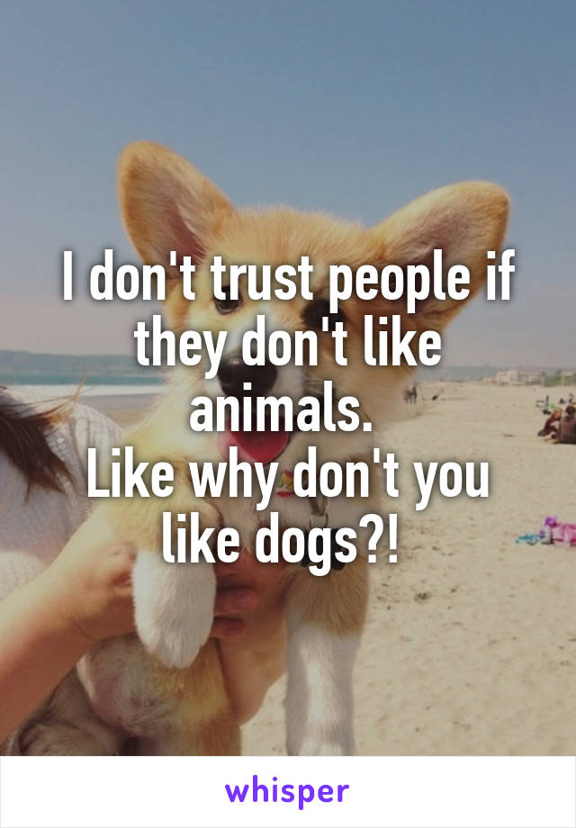 I don't trust people if they don't like animals. 
Like why don't you like dogs?! 