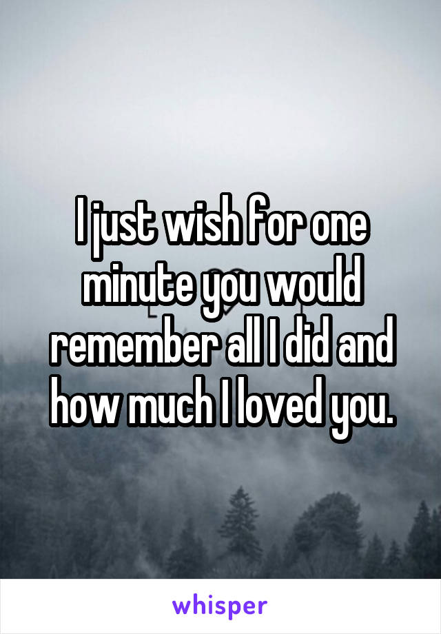 I just wish for one minute you would remember all I did and how much I loved you.