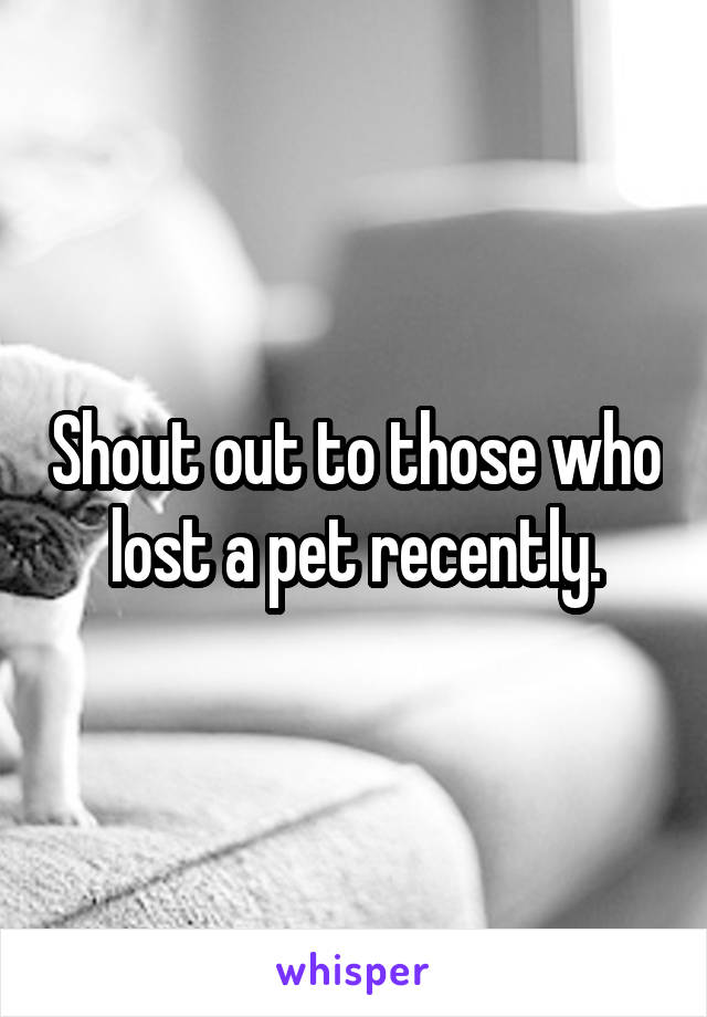 Shout out to those who lost a pet recently.