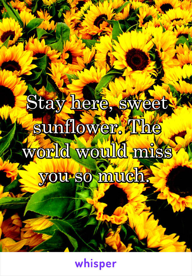 Stay here, sweet sunflower. The world would miss you so much. 