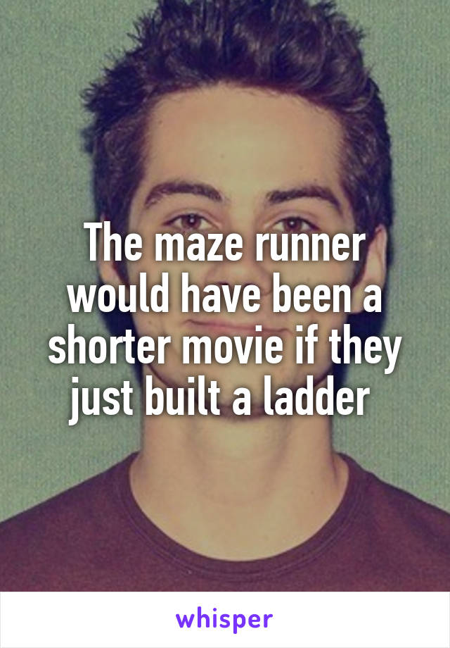 The maze runner would have been a shorter movie if they just built a ladder 