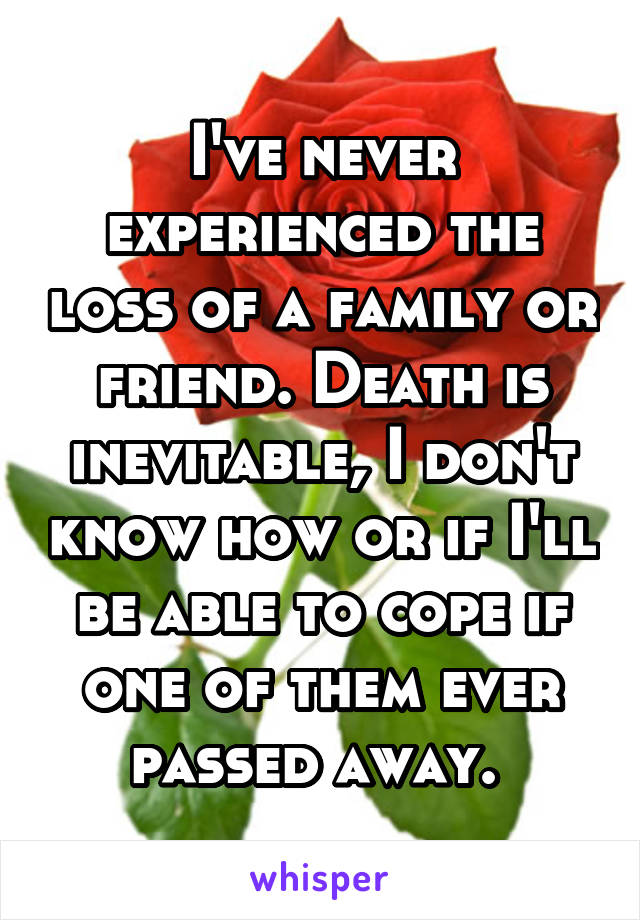 I've never experienced the loss of a family or friend. Death is inevitable, I don't know how or if I'll be able to cope if one of them ever passed away. 