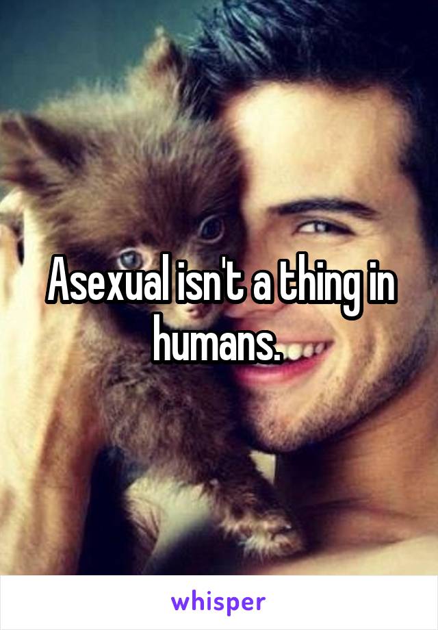 Asexual isn't a thing in humans. 