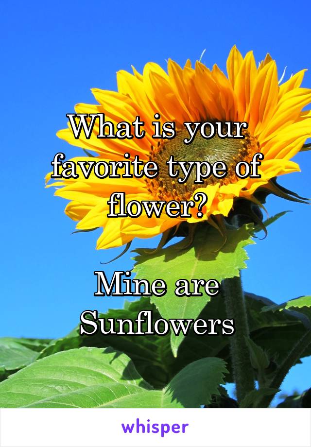 What is your favorite type of flower?

Mine are Sunflowers