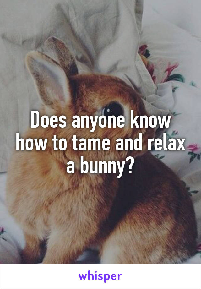 Does anyone know how to tame and relax a bunny?
