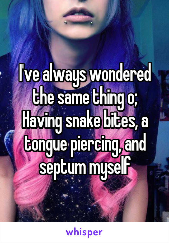 I've always wondered the same thing o;
Having snake bites, a tongue piercing, and septum myself