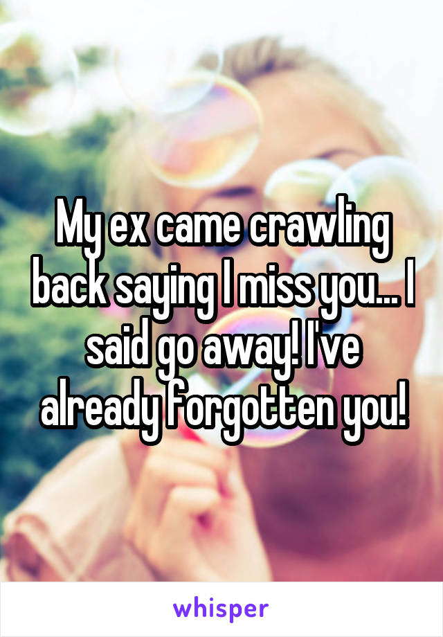 My ex came crawling back saying I miss you... I said go away! I've already forgotten you!