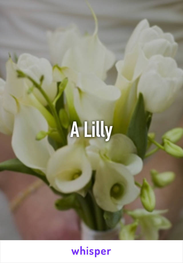 A Lilly