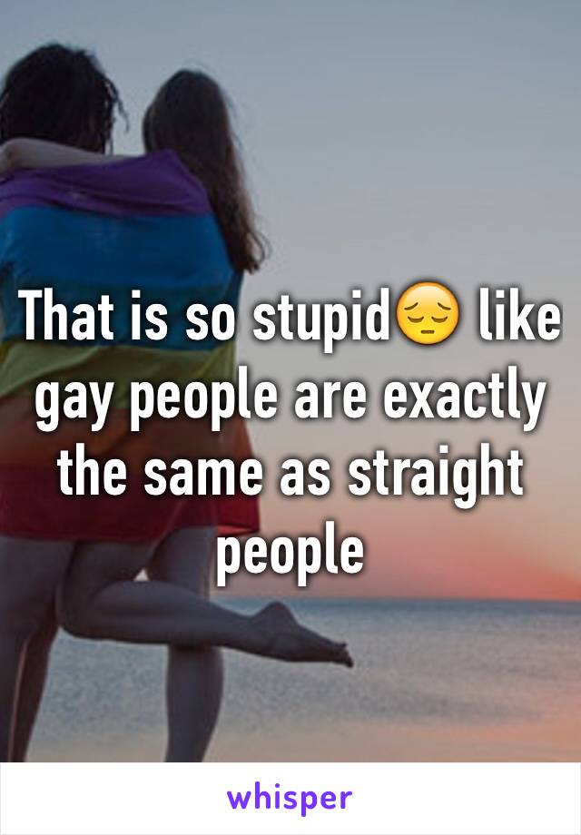 That is so stupid😔 like gay people are exactly the same as straight people