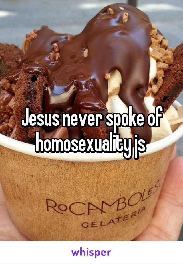 Jesus never spoke of homosexuality js 