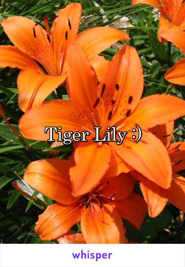 Tiger Lily :)