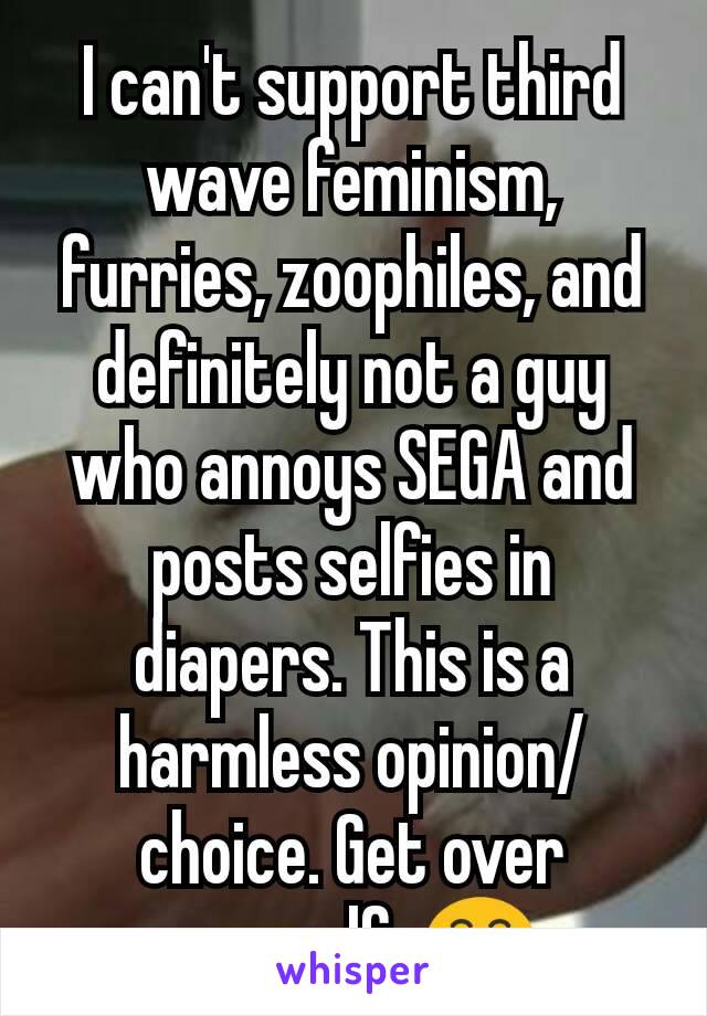 I can't support third wave feminism, furries, zoophiles, and definitely not a guy who annoys SEGA and posts selfies in diapers. This is a harmless opinion/choice. Get over yourself. 😁