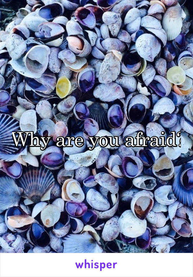 Why are you afraid?