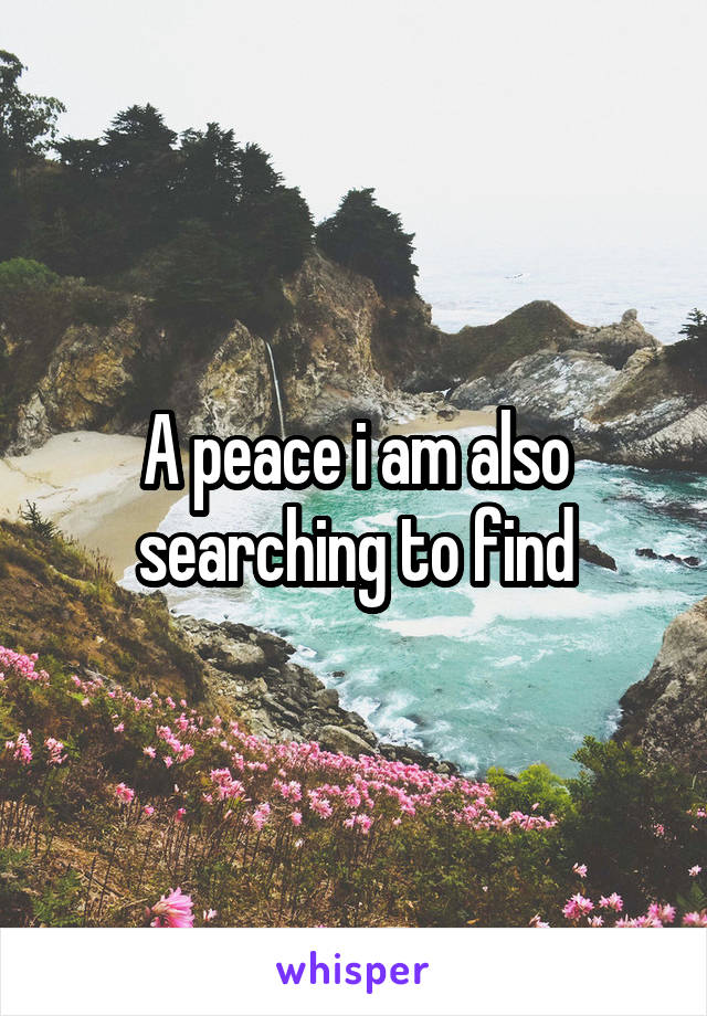 A peace i am also searching to find
