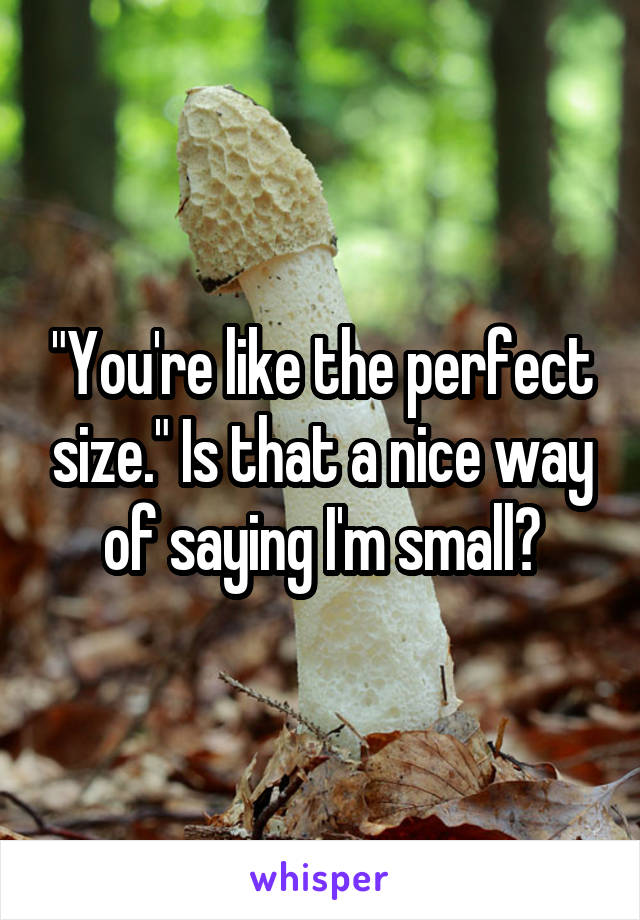 "You're like the perfect size." Is that a nice way of saying I'm small?