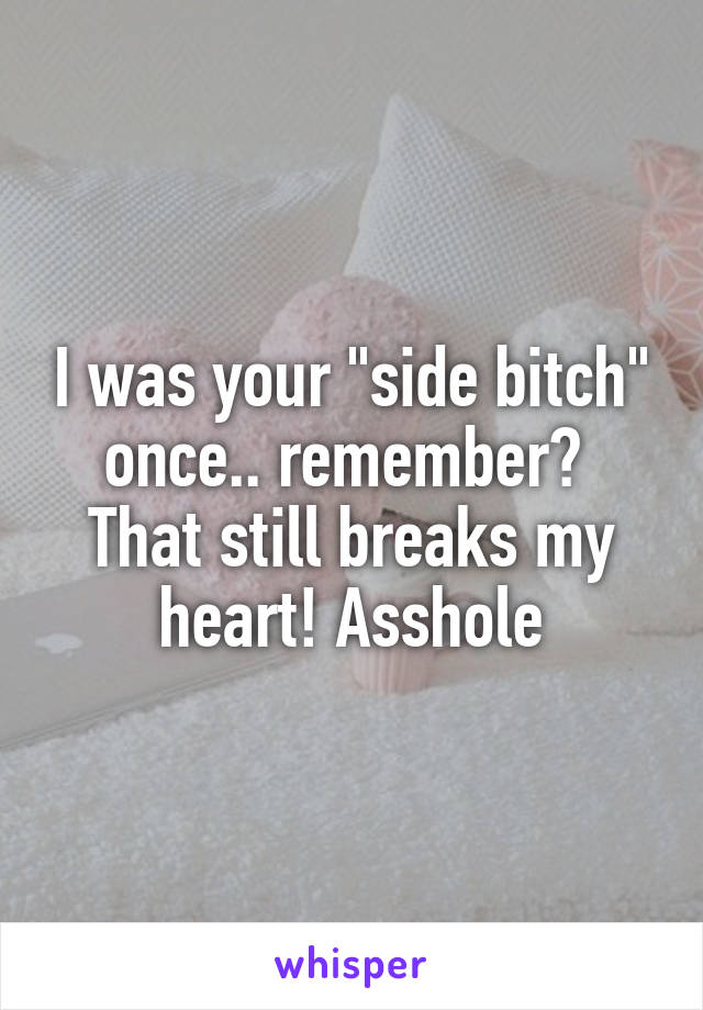 I was your "side bitch" once.. remember? 
That still breaks my heart! Asshole