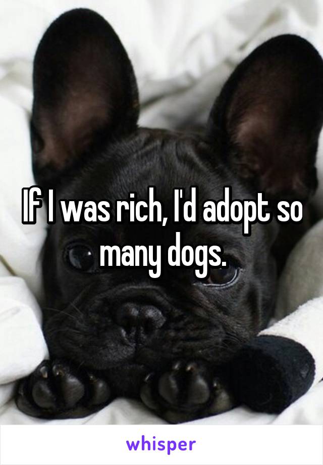 If I was rich, I'd adopt so many dogs.