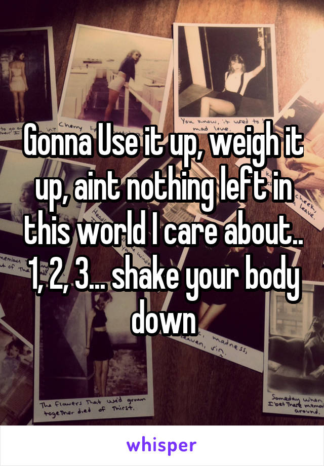 Gonna Use it up, weigh it up, aint nothing left in this world I care about.. 1, 2, 3... shake your body down
